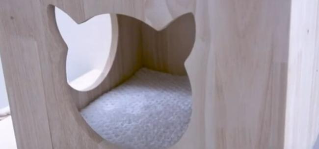 Katzenhöhle Wandmontage